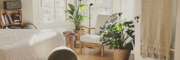 Houseplants - Health Boosters for Apartment Living