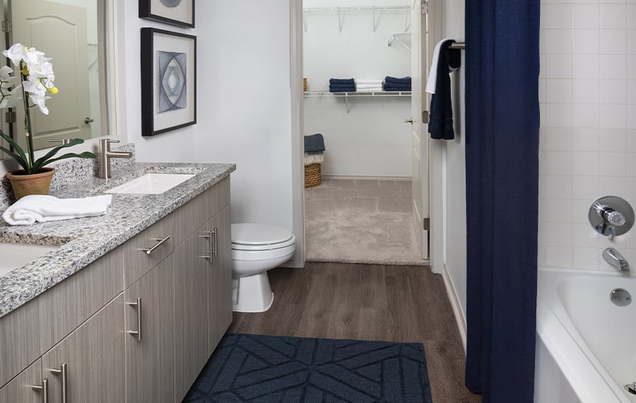 Upgraded Apartments in Richmond, VA - The Madison - Bathroom