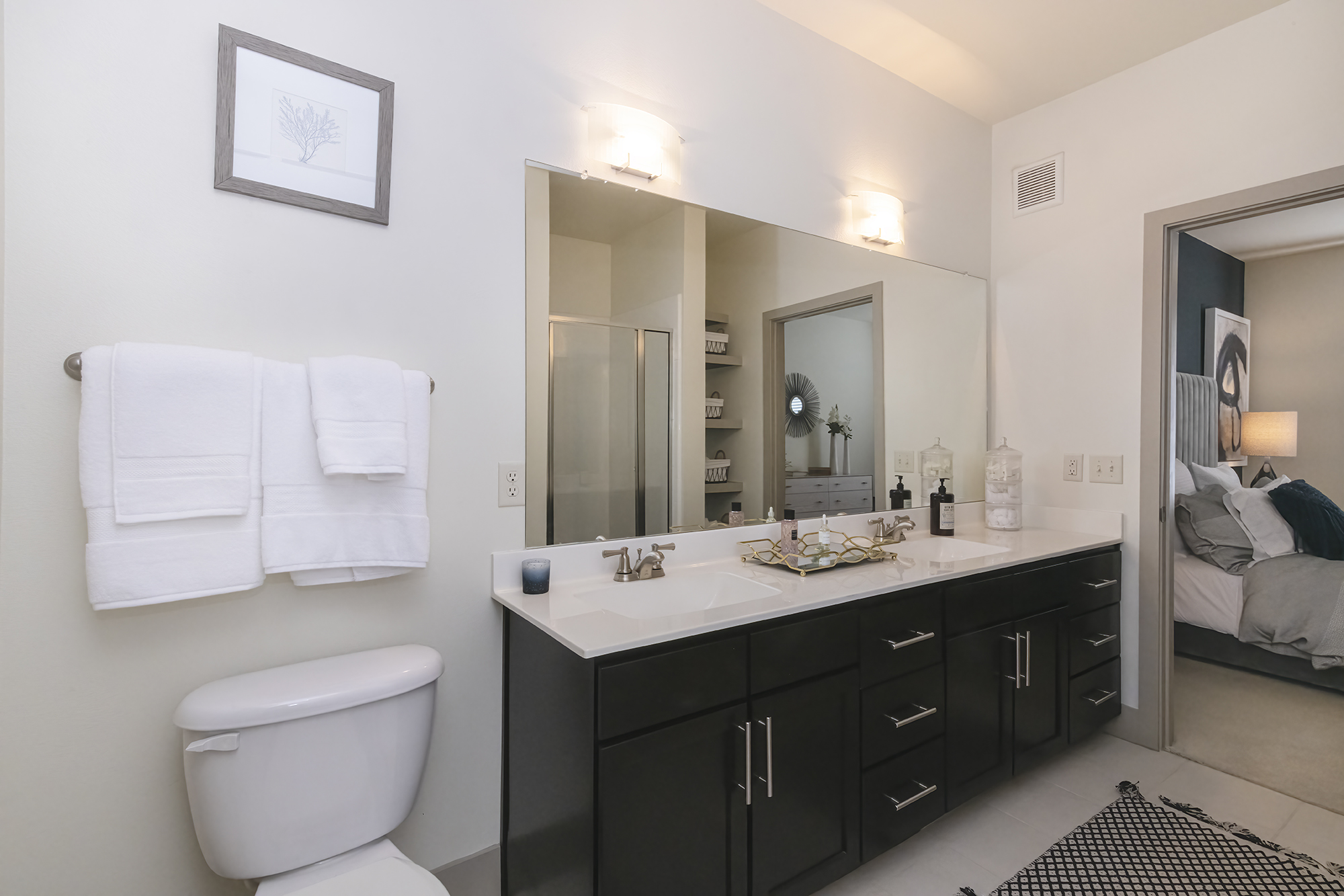 Brick Row - Ricardson, TX apartments - bathroom