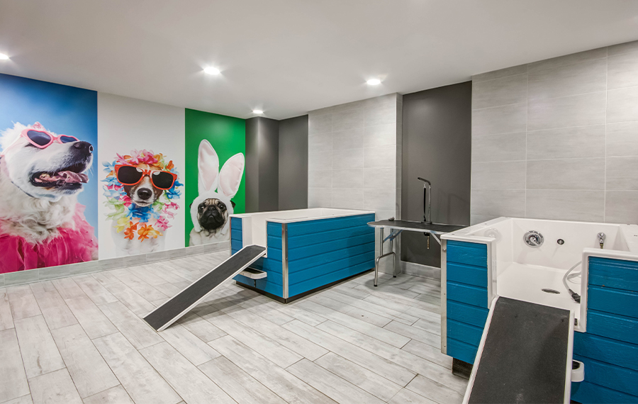 Pet-friendly Apartments in Rockville, MD - Mallory Square - Pet Spa