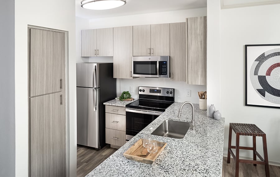 Scottsdale Apartments - San Carlos - upgraded kitchen