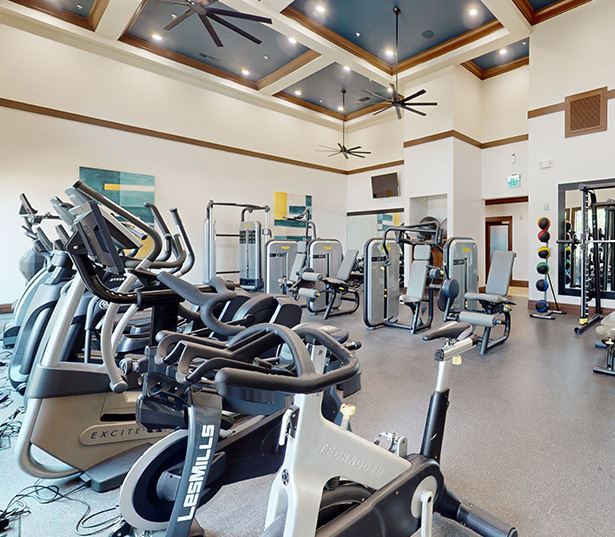 Grapevine, TX Apartments for Rent - Stoneledge - Fitness Center Virtual Tour