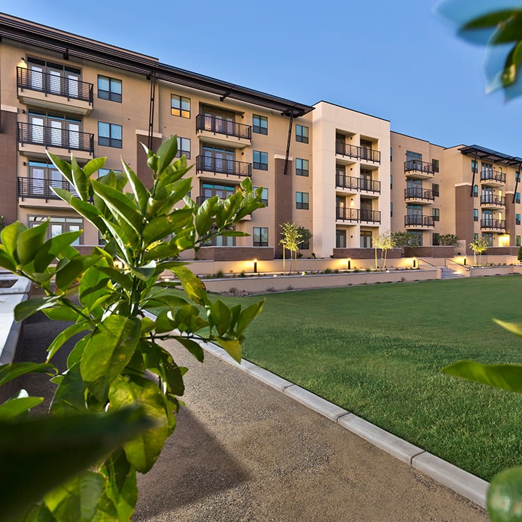 Camelback Corridor apartments - Citrine community park