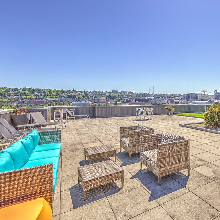 Neptune Apartments for Rent in Seattle, WA - rooftop views